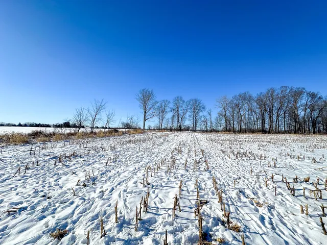 $299,000 | 35.5 V/l Lovejoy, Perry, MI 48872