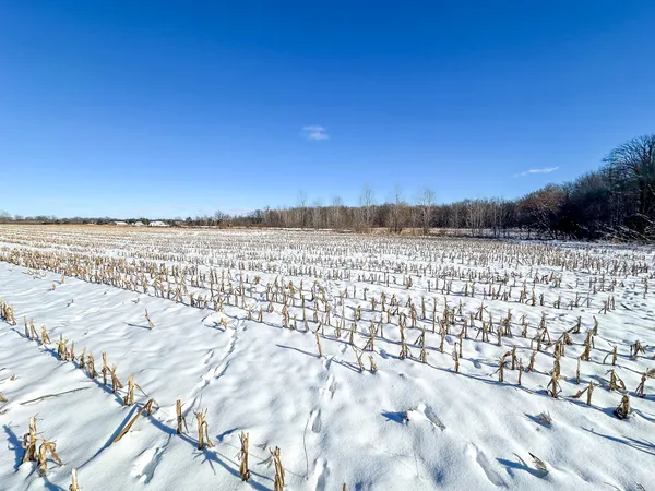 $274,900 | 35.5 V/l Lovejoy, Perry, MI 48872