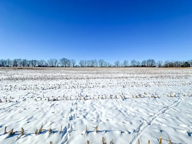 $274,900 | 35.5 V/l Lovejoy, Perry, MI 48872