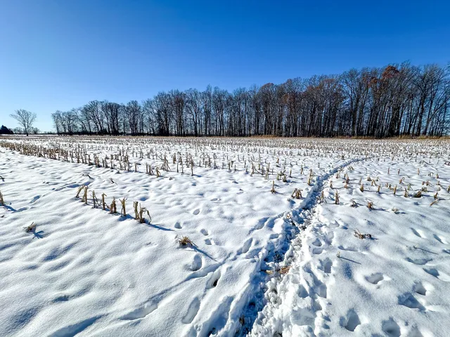 $274,900 | 35.5 V/l Lovejoy, Perry, MI 48872