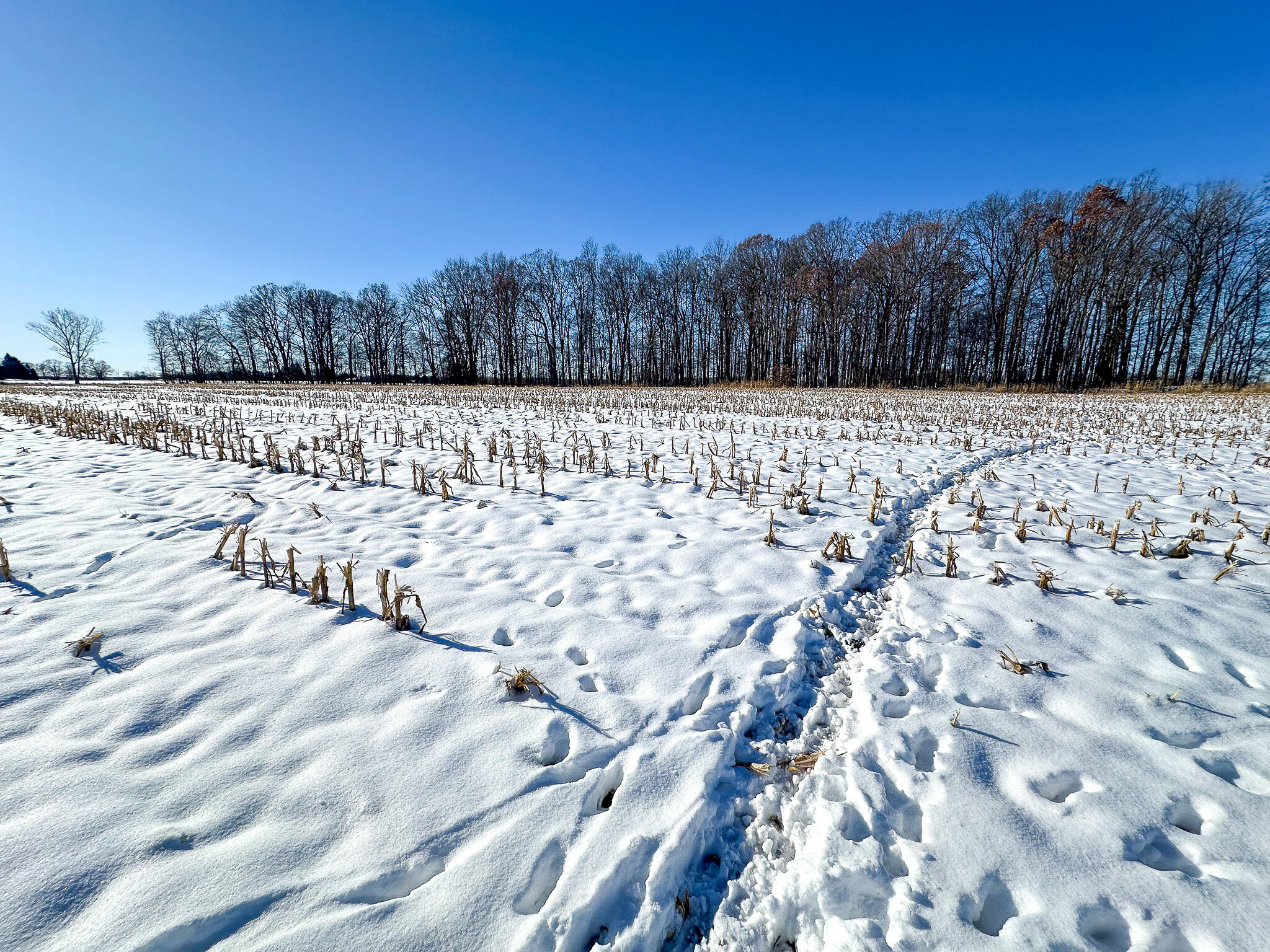 35.5 V/l Lovejoy Perry, MI 48872 - Photo 15 of 21 Mid Trl