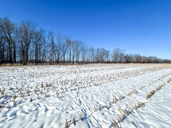 $274,900 | 35.5 V/l Lovejoy, Perry, MI 48872