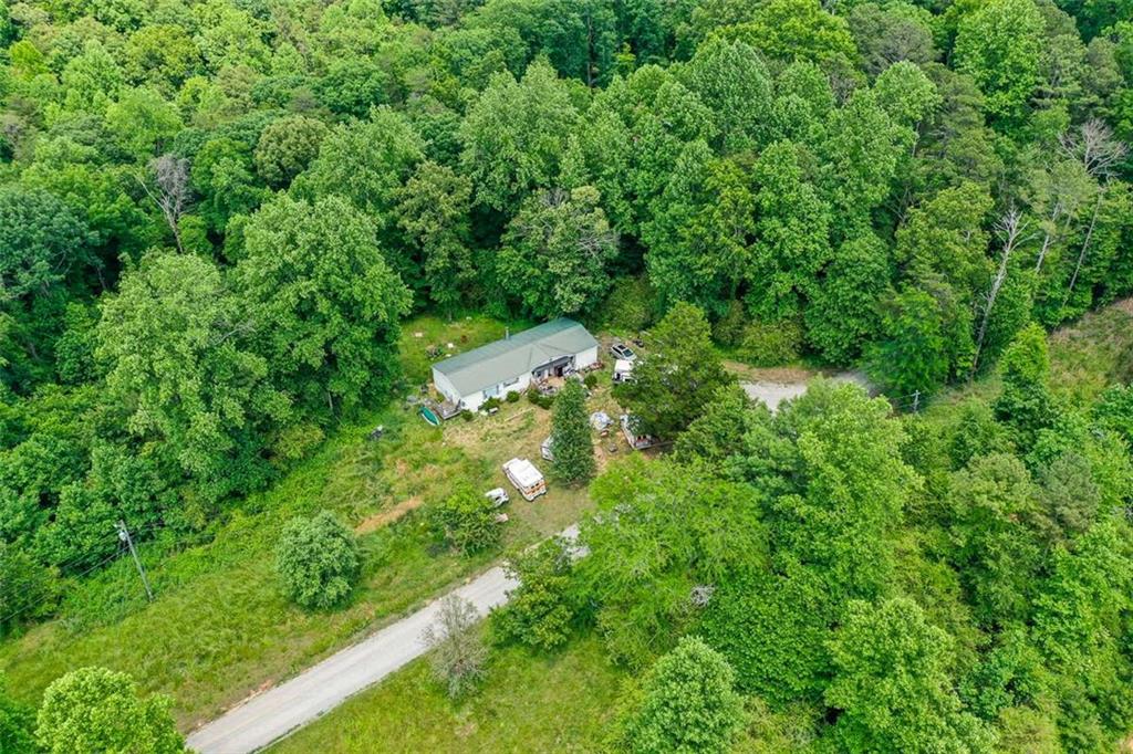 1010 Painter Road Talking Rock, GA 30175 - Photo 14 of 25 a view of a forest with a houses