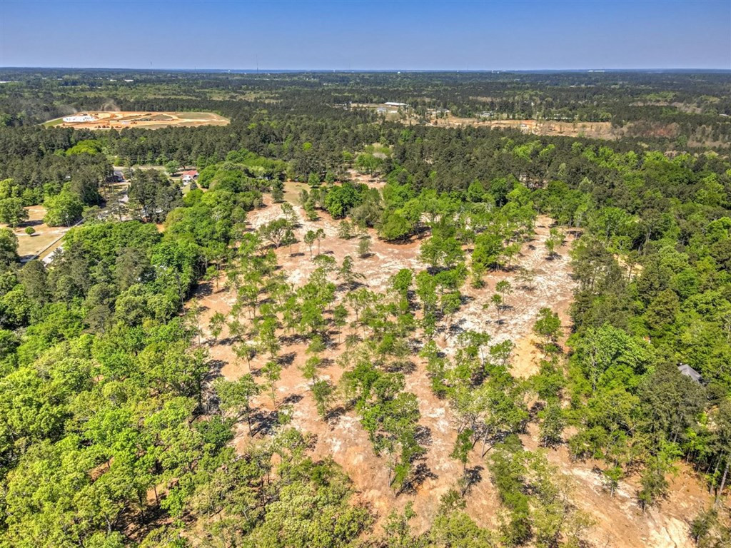 273 Redds Branch Road Aiken, SC 29801 - Photo 50 of 52