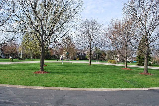 300 Greenfeather Lane Elgin, IL 60120 - Photo 2 of 25