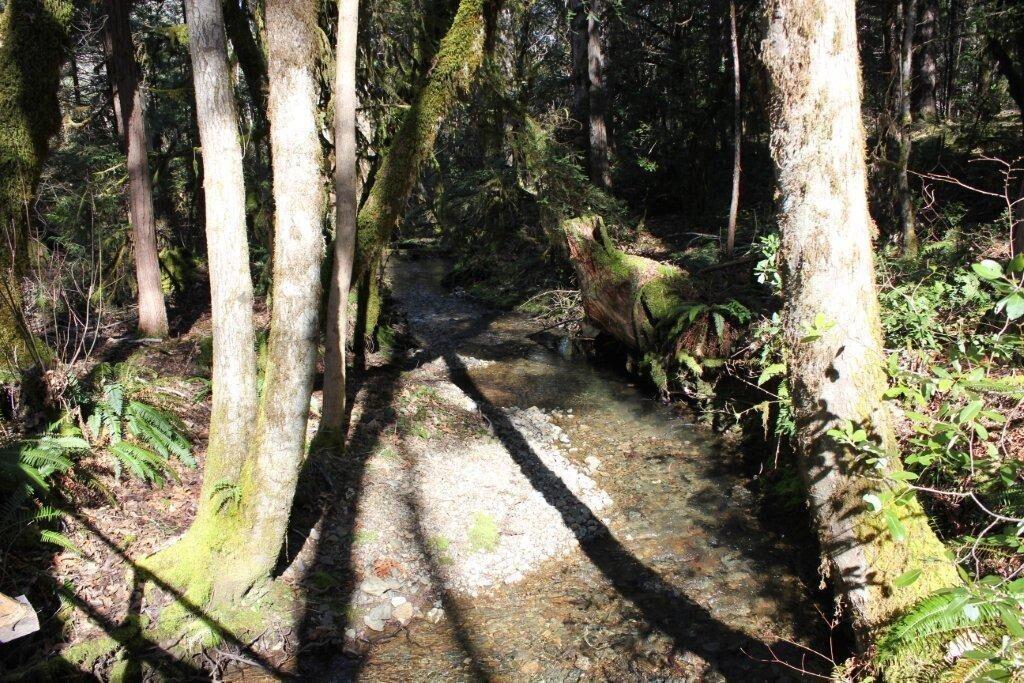 4320 Thompson Creek Road Selma, OR 97538 - Photo 20 of 33 IMG_2102