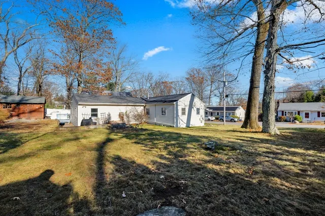 a view of a yard with plants and large trees