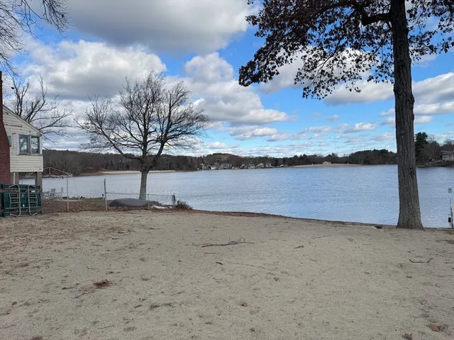 a view of a yard next to a road