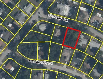 Redwing Dr Spring Hill Spring Hill, FL 34606 - Photo 1 of 1