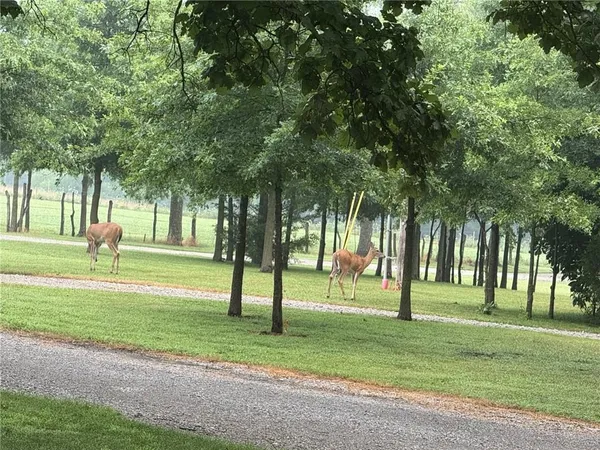 $1,199,000 | 29721 South Hess Road, Harrisonville, MO 64701