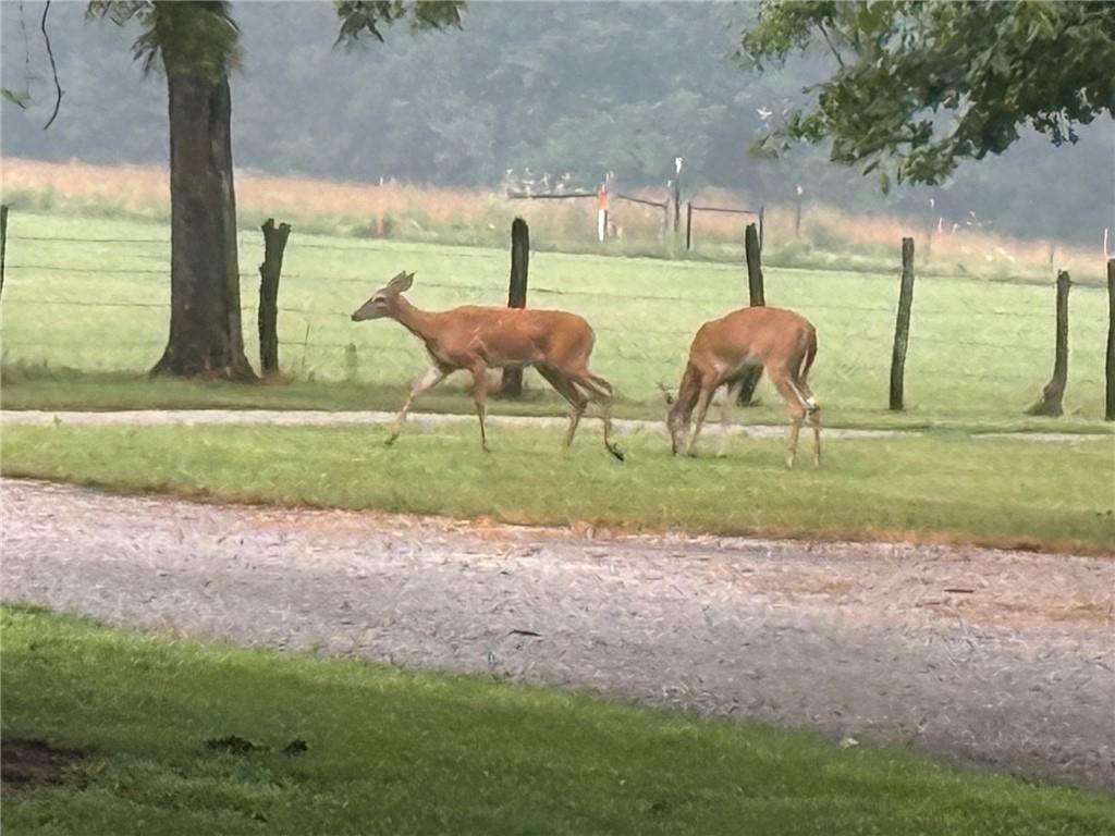 29721 South Hess Road Harrisonville, MO 64701 - Photo 52 of 55