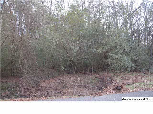 4143 Bannerman Road Southwest, Unit 1A/1B Bessemer, AL 35022 - Photo 2 of 2