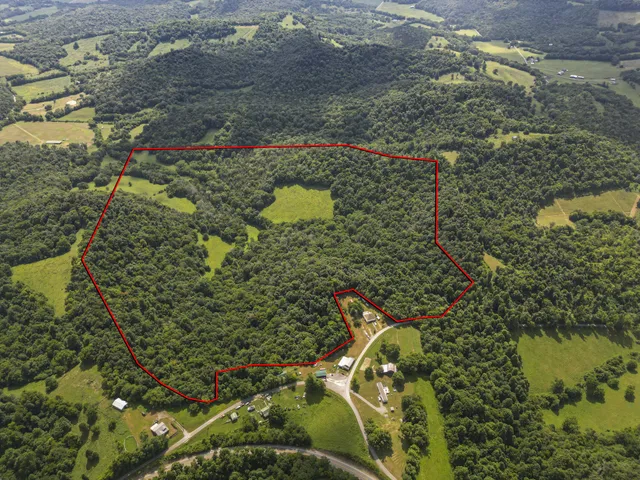 a view of a lake view