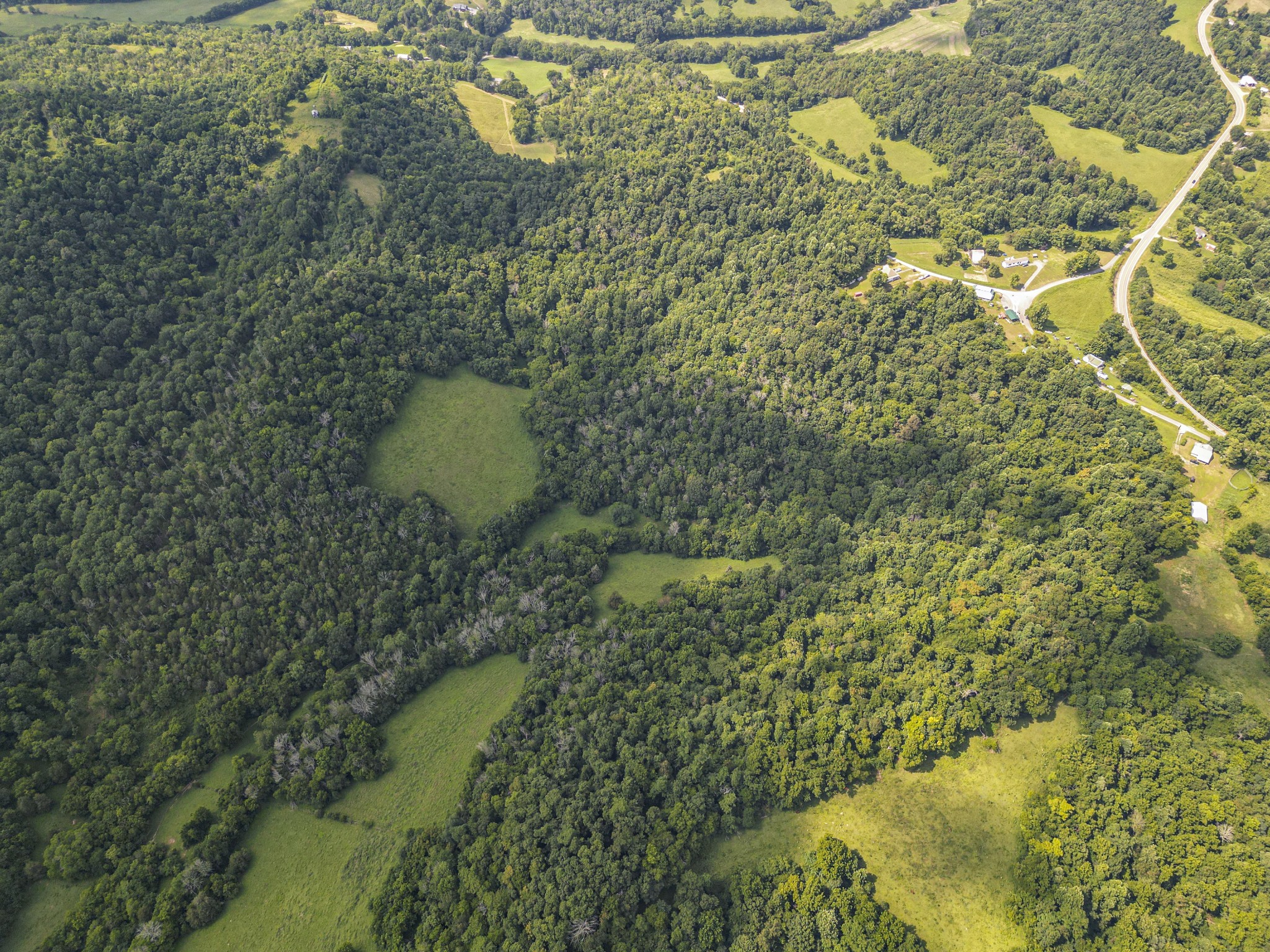 0 Poor Grab Road Petersburg, TN 37144 - Photo 7 of 9 a bathroom with a shower
