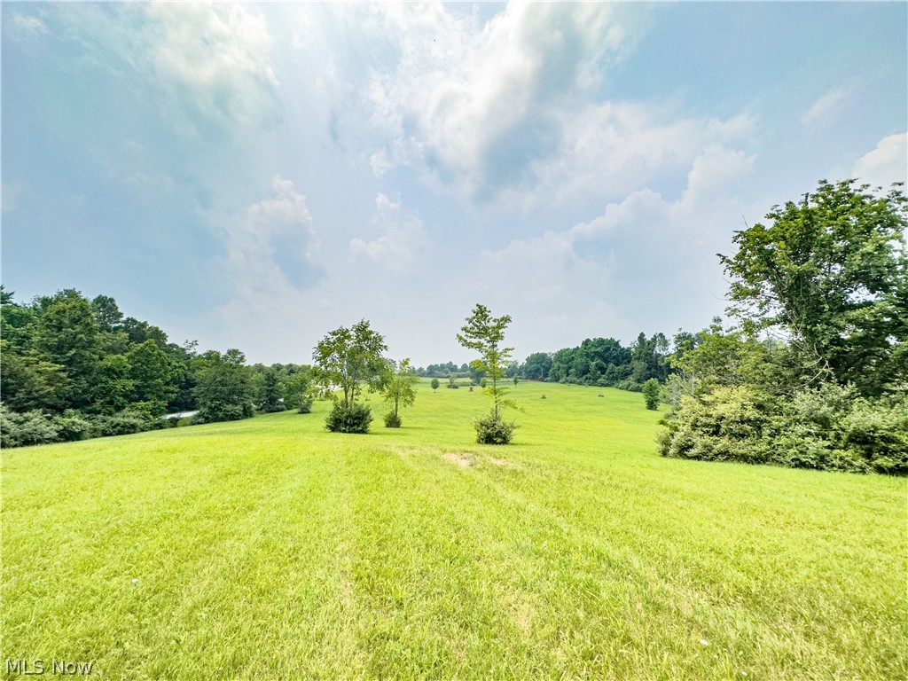 0 Pugh Road Cadiz, OH 43907 - Photo 13 of 21 View of yard