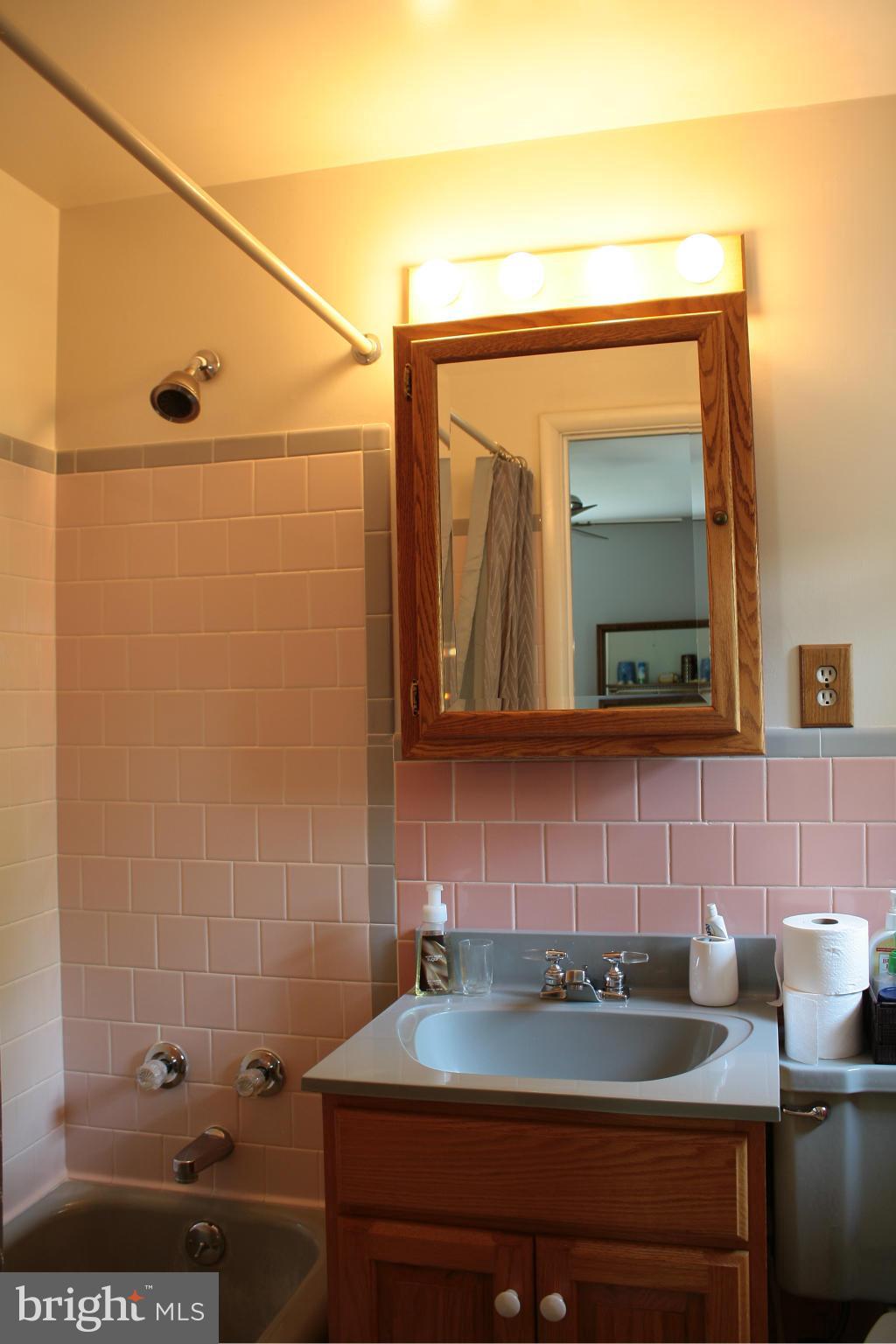 815 Shelley Road Baltimore, MD 21286 - Photo 21 of 30 Bath (Master)