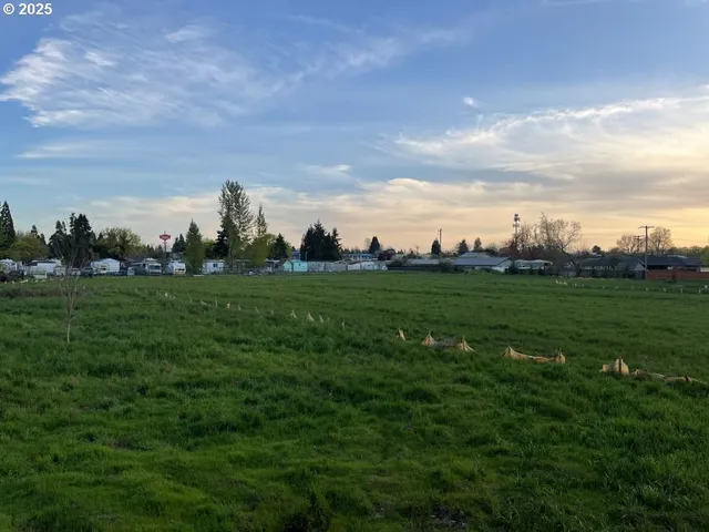 a view of a grassy field