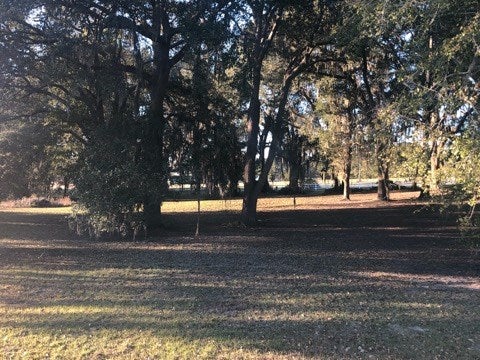500 Community Church Road Adel, GA 31620 - Photo 3 of 7 Gallery Image 3
