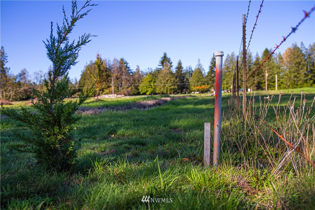 13380 Marihugh Road Mount Vernon, WA 98273 - Photo 11 of 28 Gallery Image 11