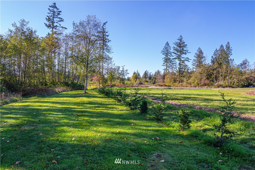 13380 Marihugh Road Mount Vernon, WA 98273 - Photo 13 of 28 Gallery Image 13