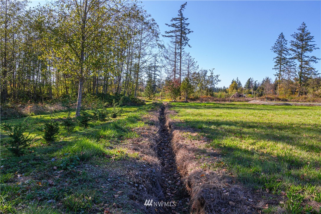 13380 Marihugh Road Mount Vernon, WA 98273 - Photo 14 of 28 Gallery Image 14