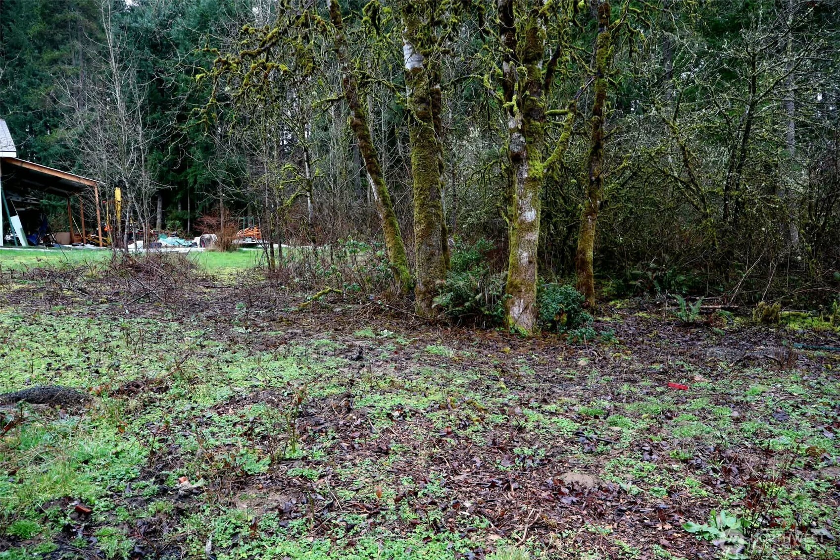 306 Minkler Road Winlock, WA 98596 - Photo 24 of 28