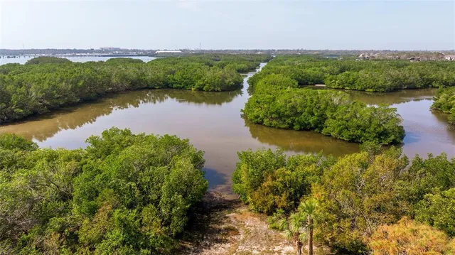 a view of a yard with plants and wooden fence