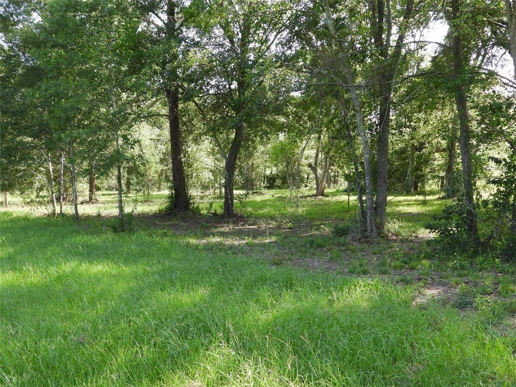 18855 Bethel Road Richards, TX 77873 - Photo 9 of 21 Gallery Image 9