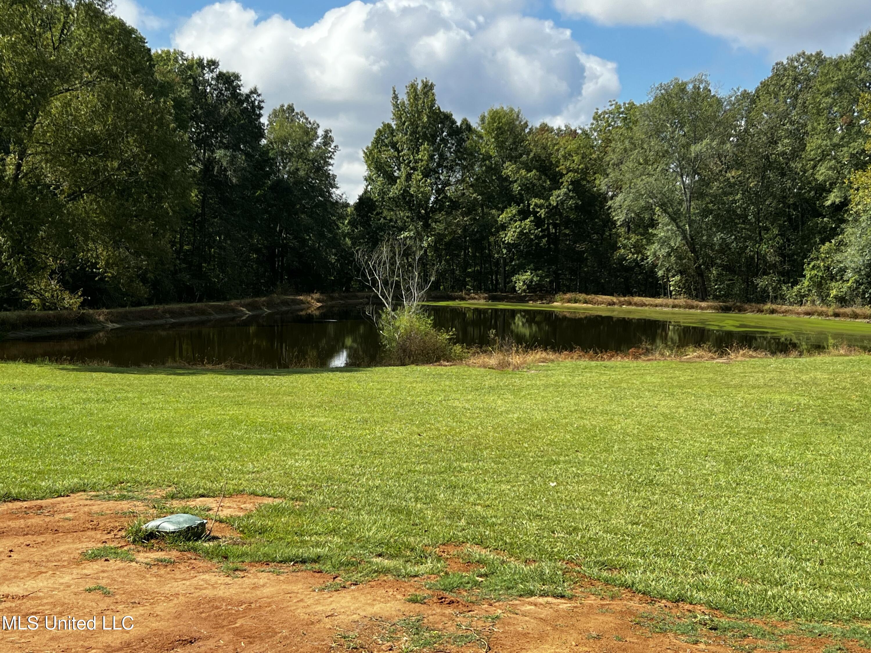 3435 Highway 149 Braxton, MS 39044 - Photo 45 of 51 B13A6832-9A3B-4FEB-8BE2-EDCEFC11CABF