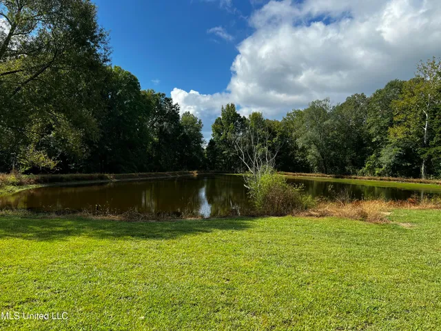 $395,000 | 3435 Highway 149, Braxton, MS 39044