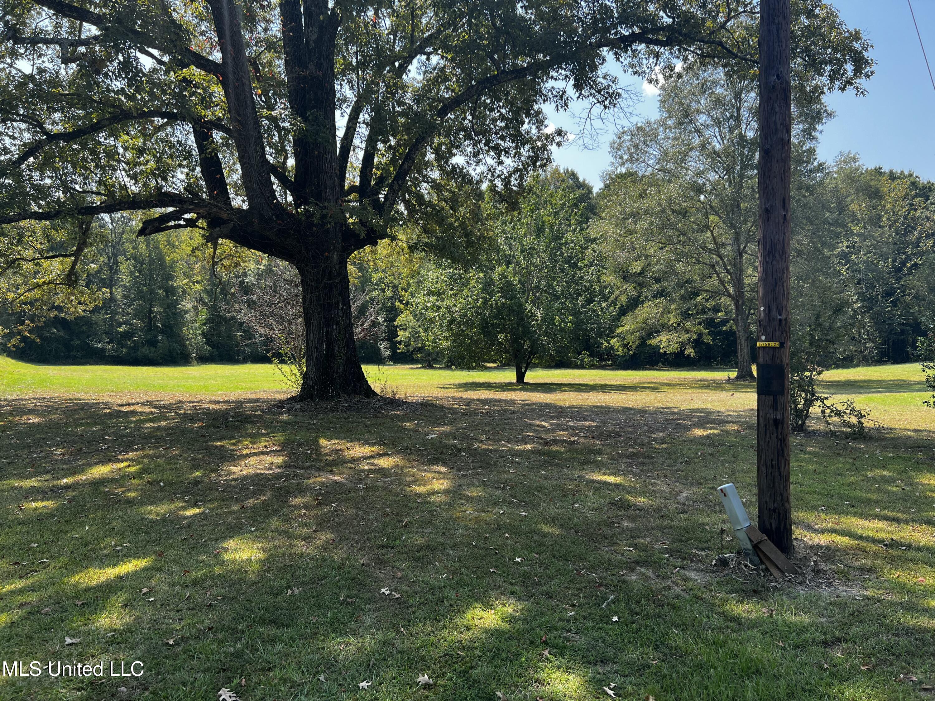 3435 Highway 149 Braxton, MS 39044 - Photo 48 of 51 D934F920-DF5F-4D34-9F61-14433A186273
