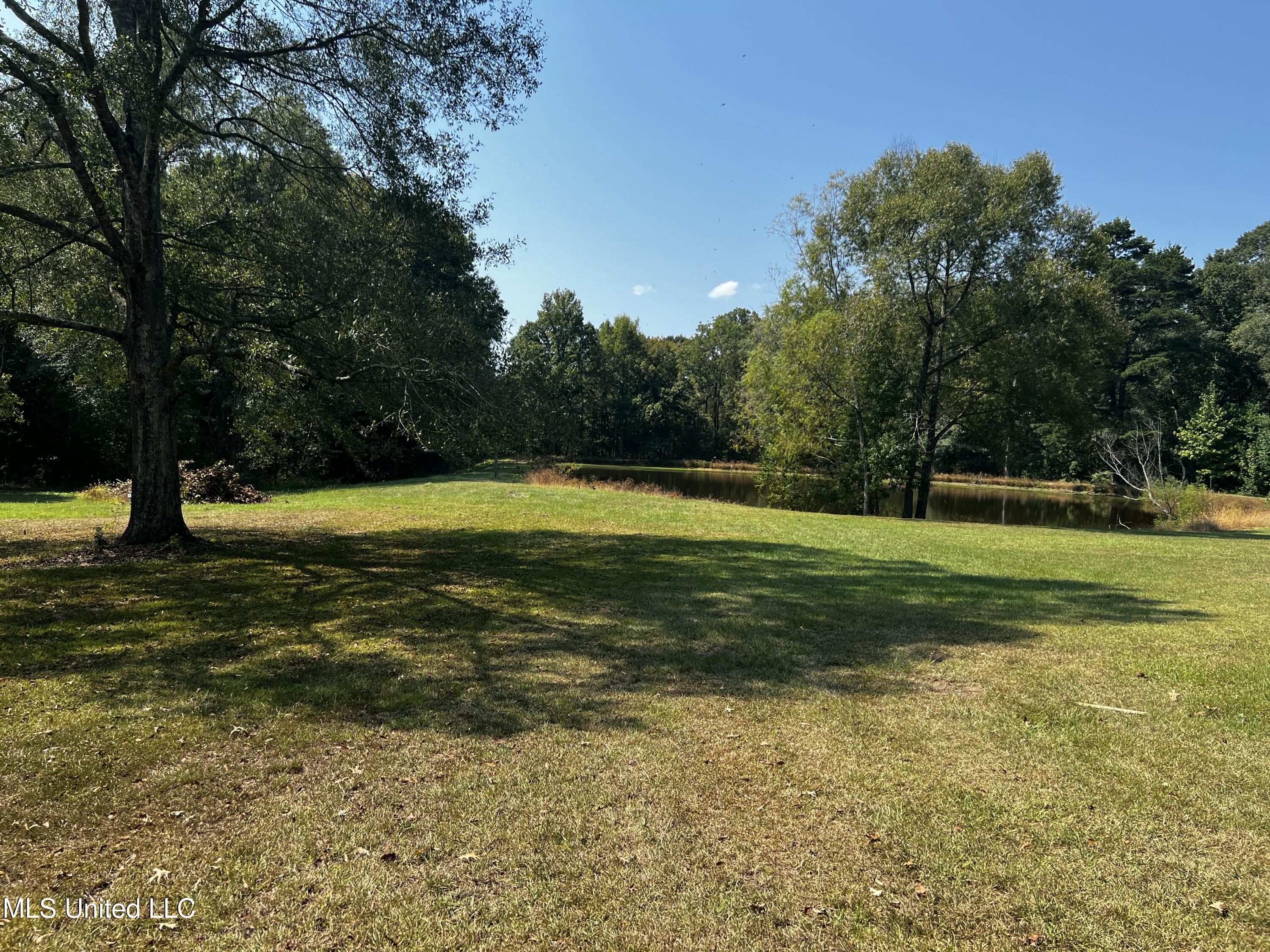3435 Highway 149 Braxton, MS 39044 - Photo 50 of 51 254FB42F-6C31-406C-BB0A-91A64C867C8D