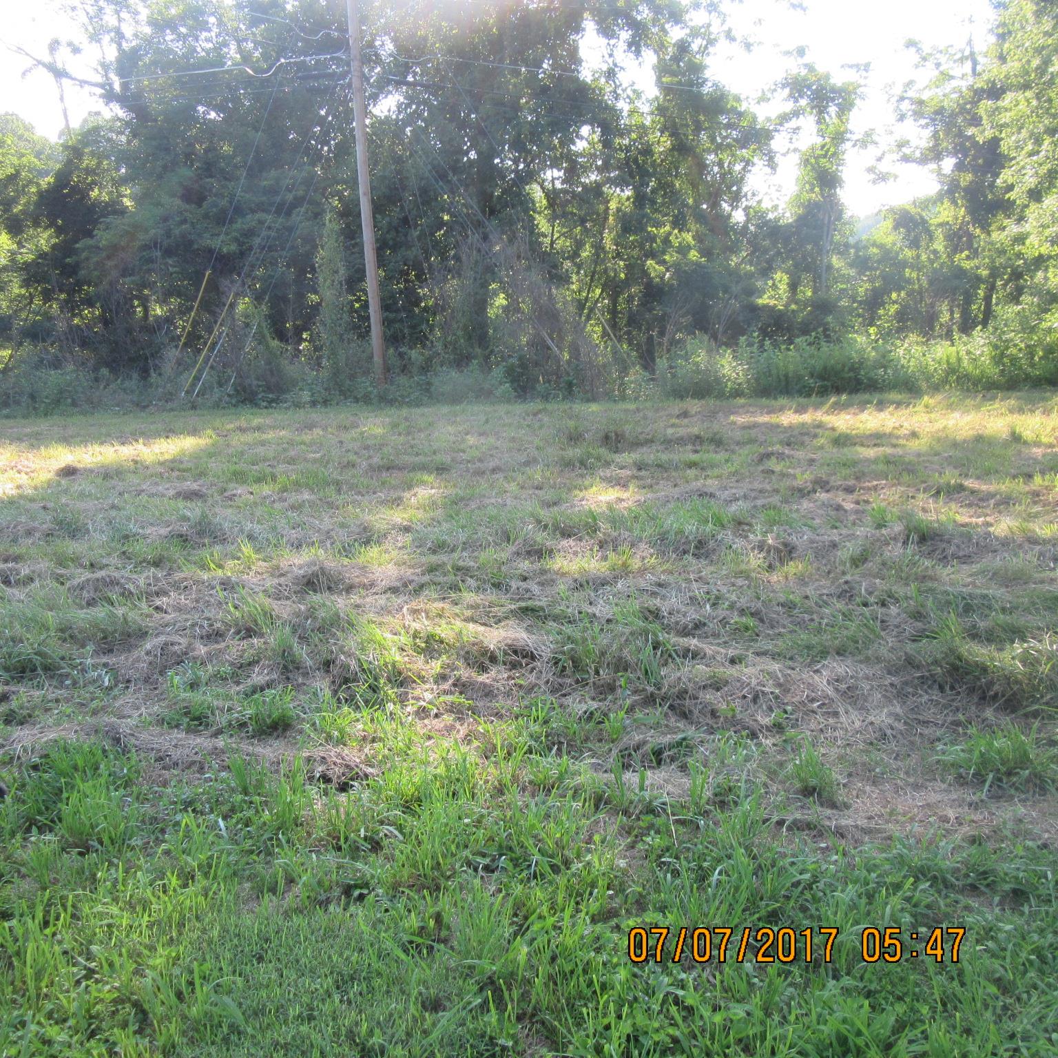 277 Toad Road Dowelltown, TN 37059 - Photo 2 of 8 a view of a field with an trees