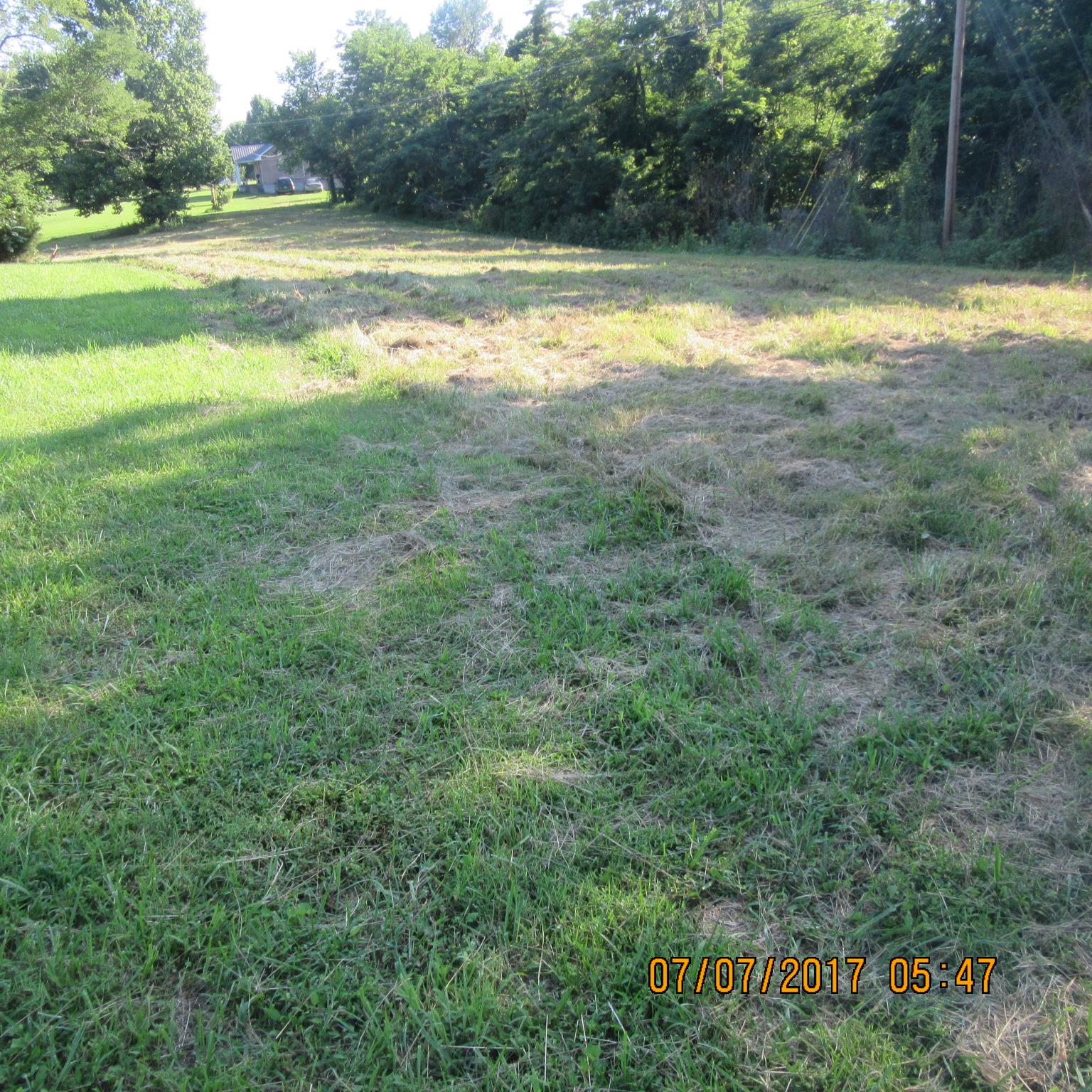 277 Toad Road Dowelltown, TN 37059 - Photo 3 of 8 a view of an outdoor space and swimming pool