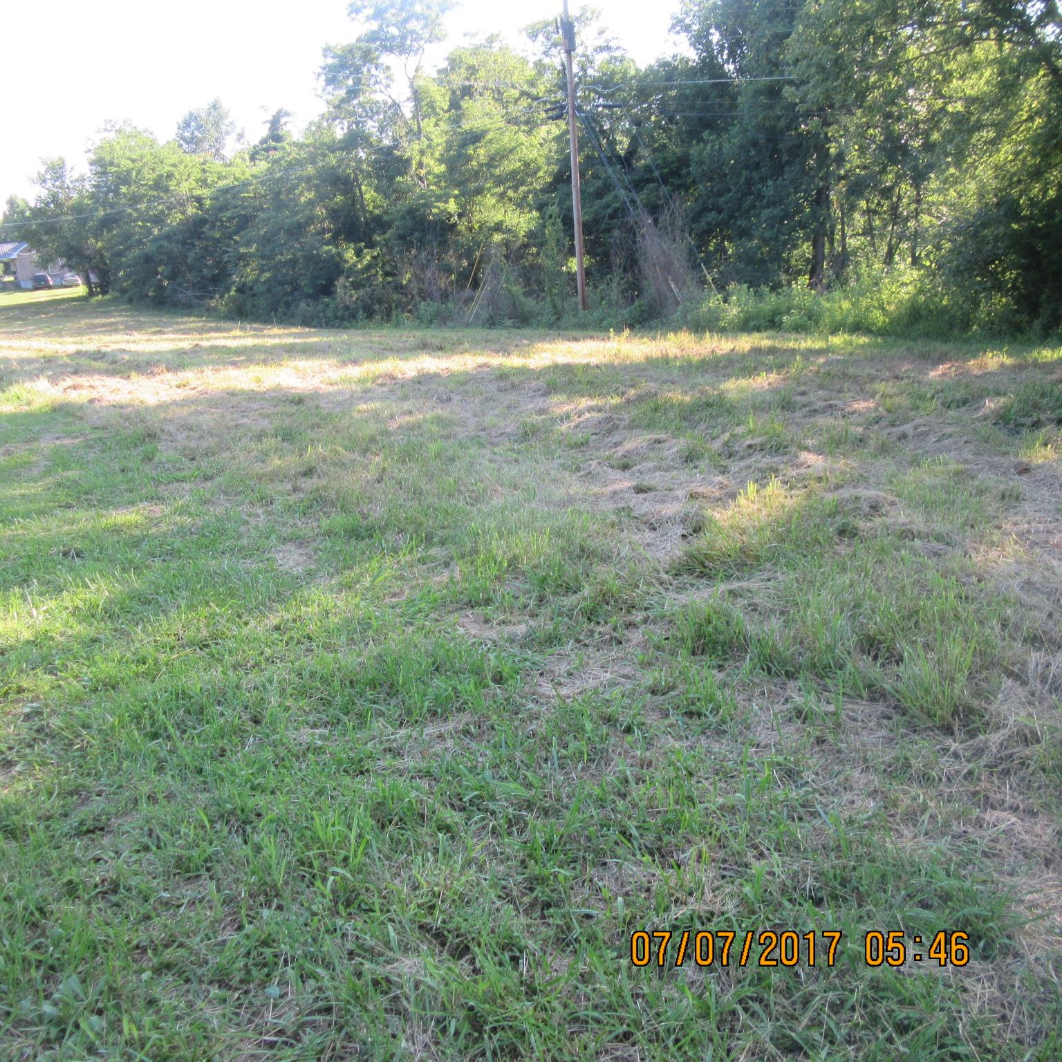 277 Toad Road Dowelltown, TN 37059 - Photo 4 of 8 a view of outdoor space with trees all around