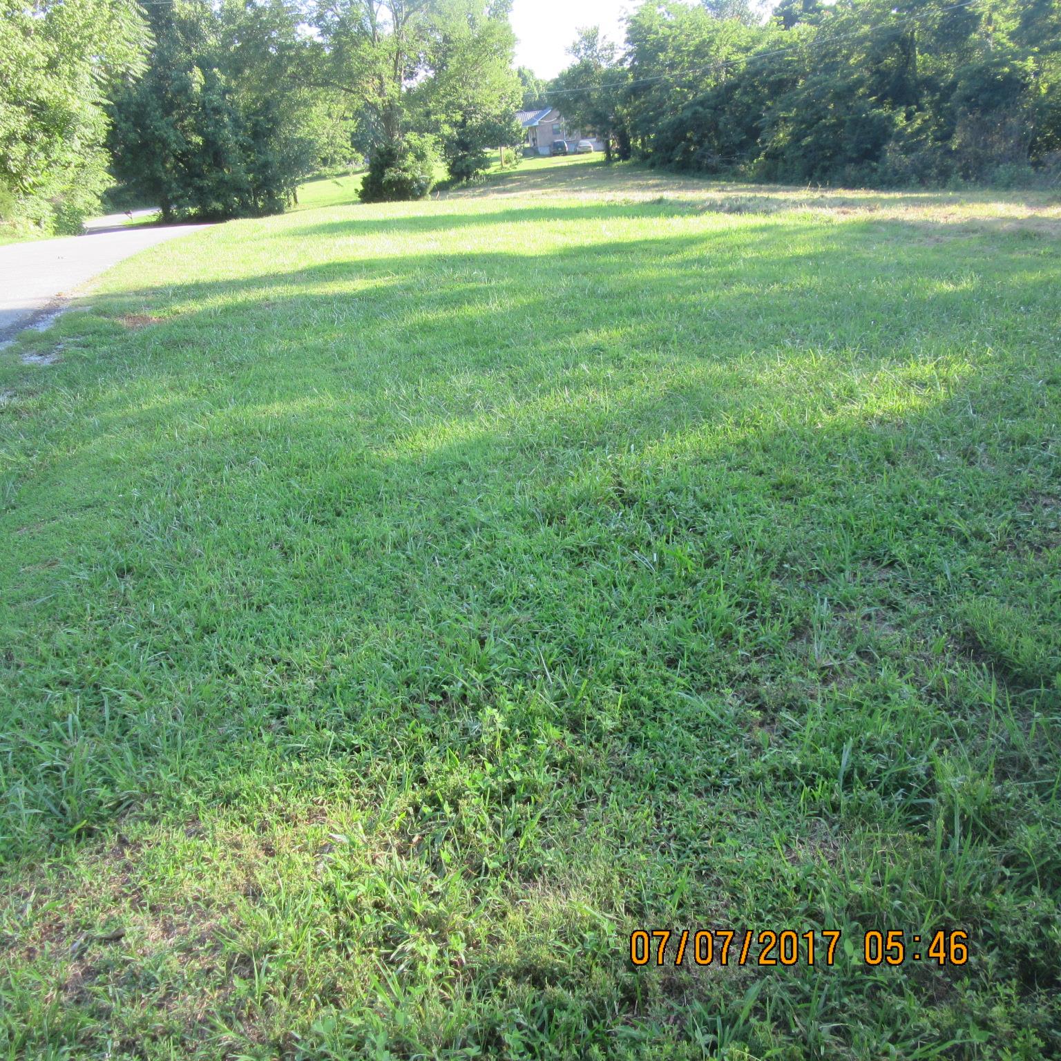 277 Toad Road Dowelltown, TN 37059 - Photo 5 of 8 a view of an outdoor space and a yard