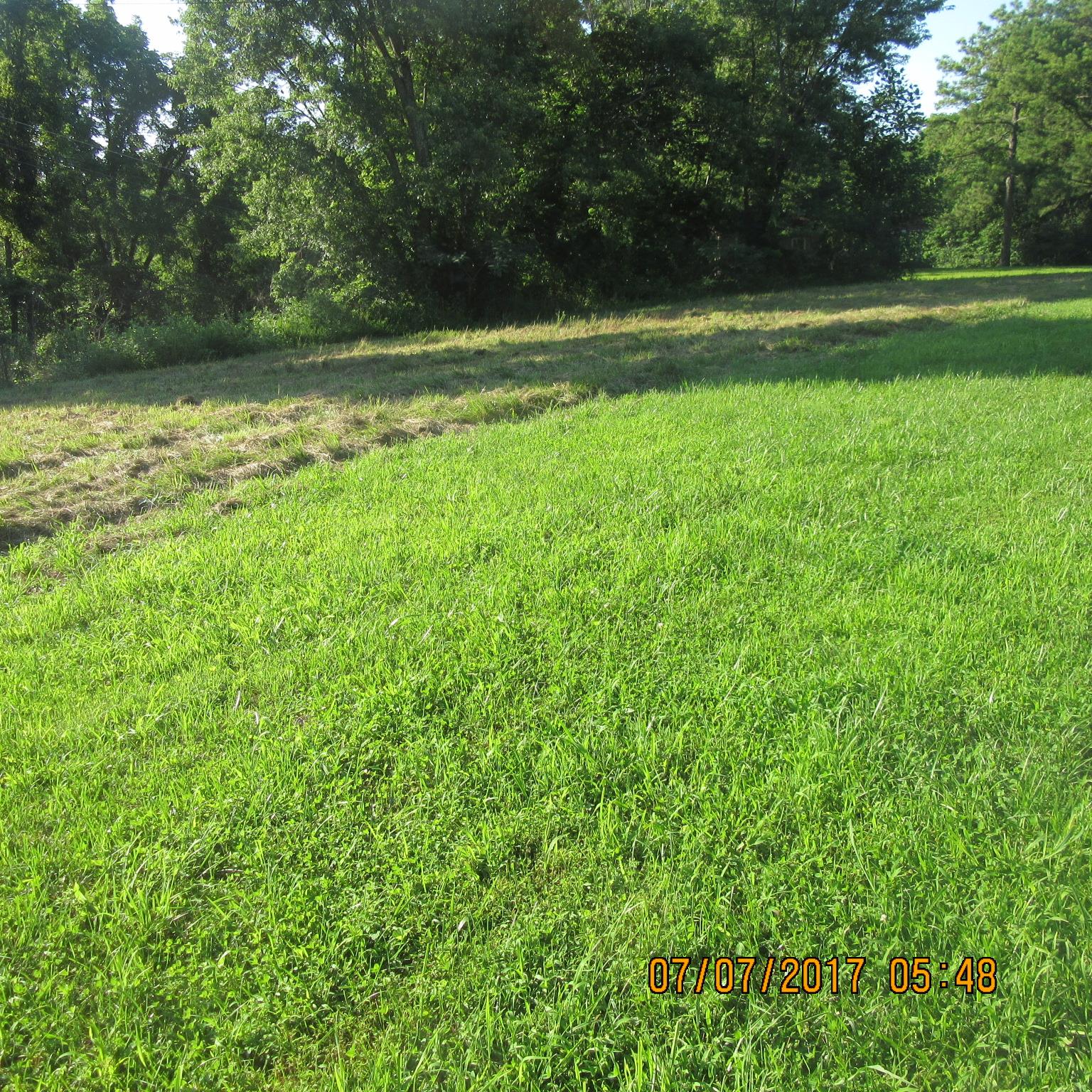 277 Toad Road Dowelltown, TN 37059 - Photo 6 of 8 a view of outdoor space with deck and yard