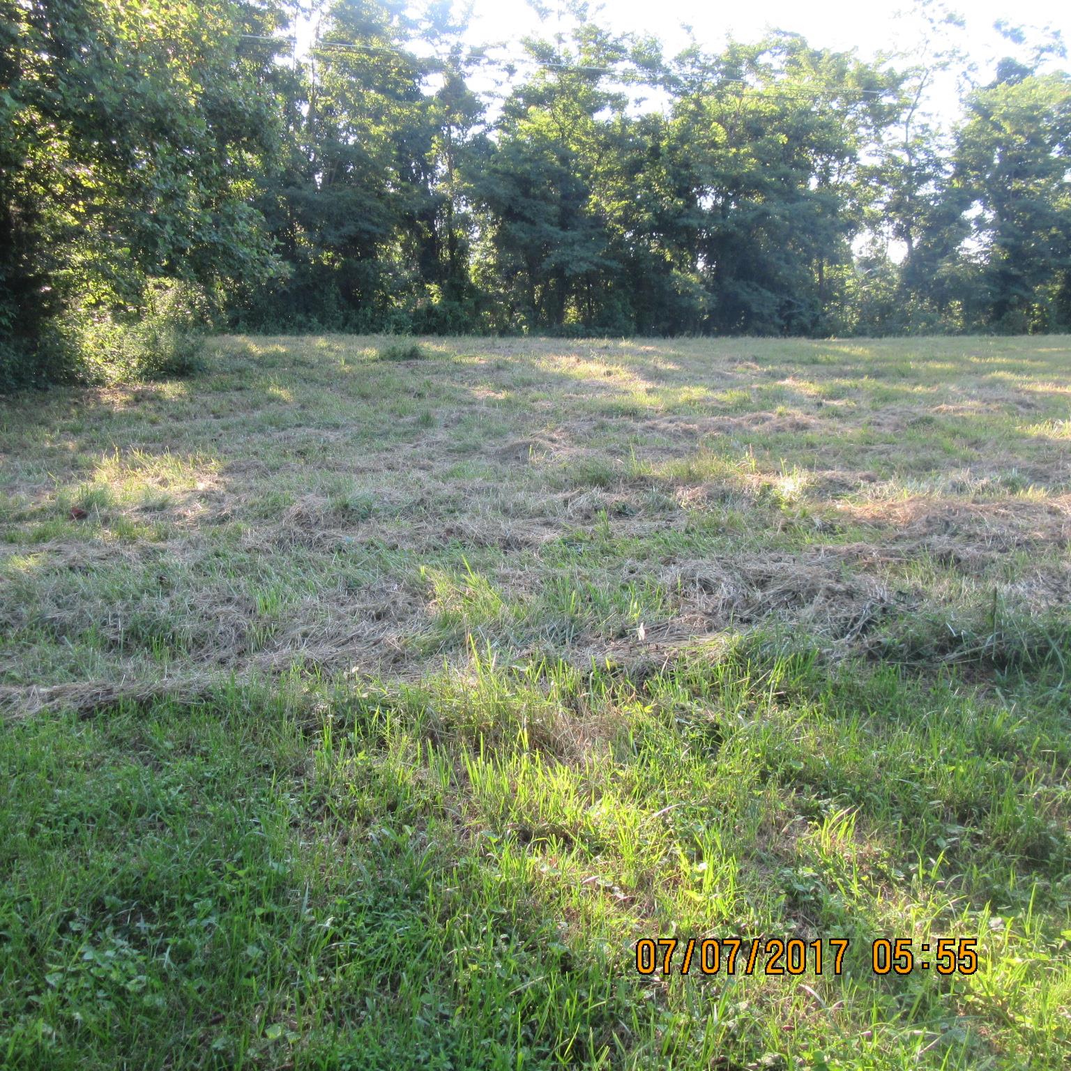 277 Toad Road Dowelltown, TN 37059 - Photo 7 of 8 a view of a yard with a tree