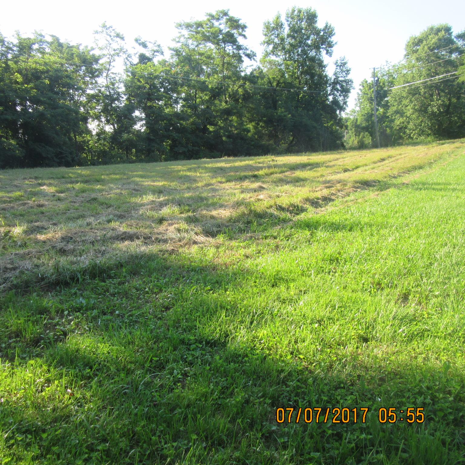 277 Toad Road Dowelltown, TN 37059 - Photo 8 of 8 a view of a field with an trees