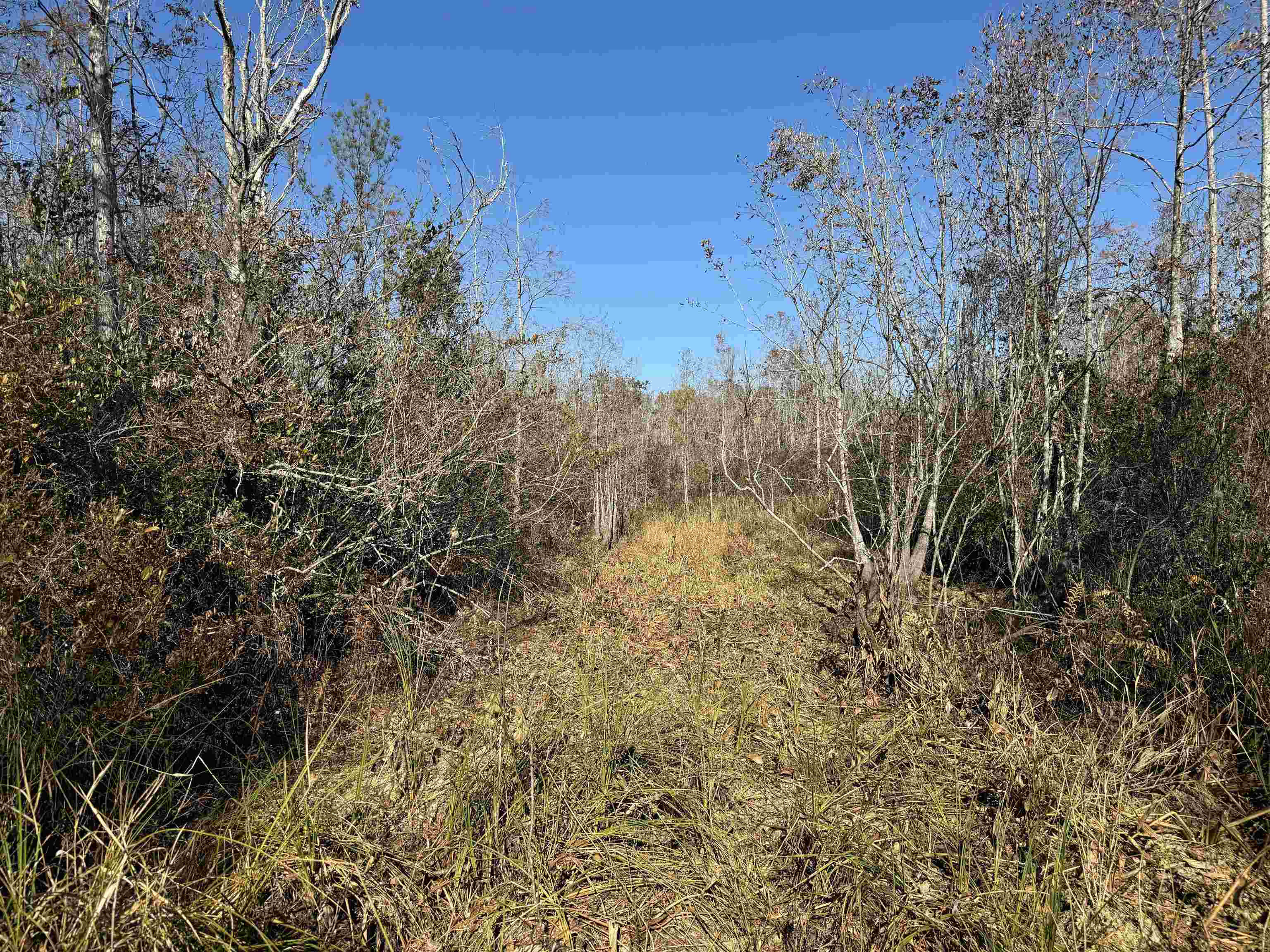 651 Northwest Flowers Road Madison, FL 32340 - Photo 18 of 20