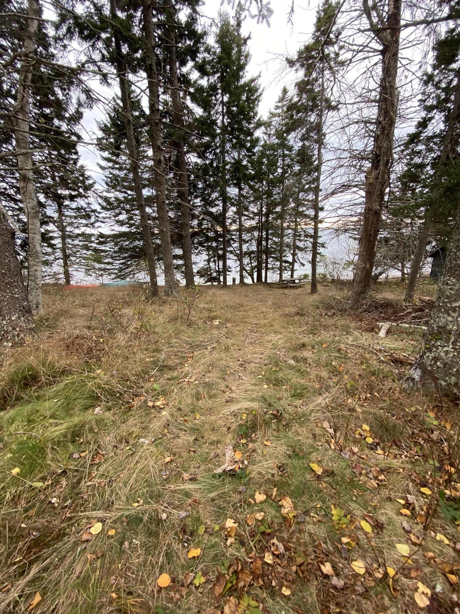 365 Weir Cove Road Harborside, ME 04642 - Photo 29 of 32 Shared waterfront access