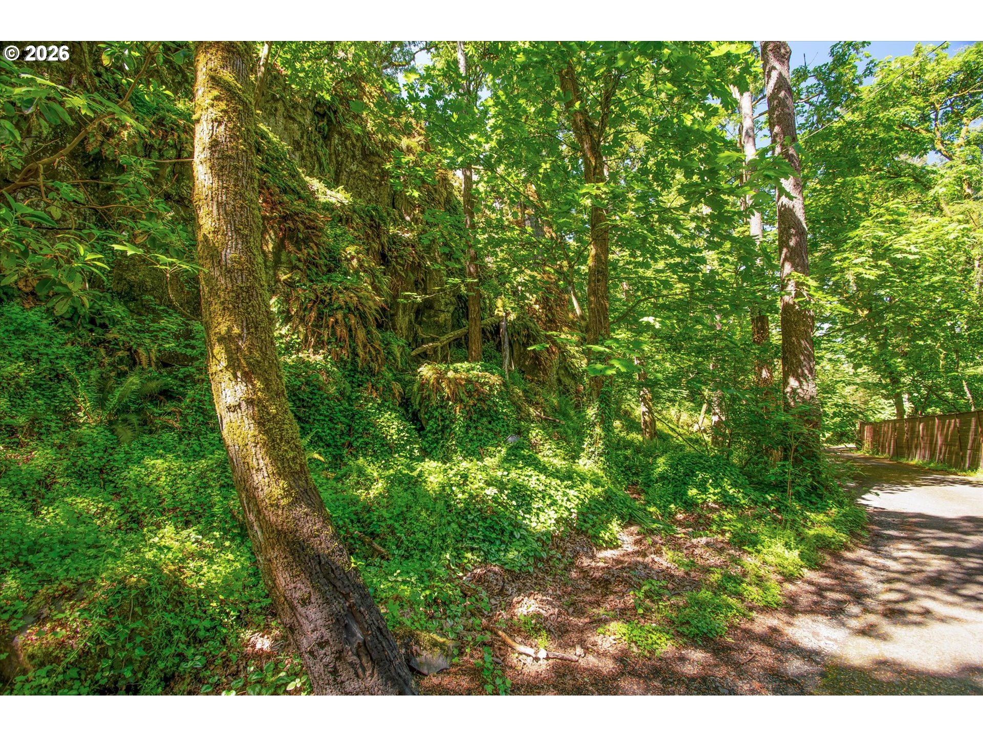 River Cliffs Drive St. Helens, OR 97051 - Photo 12 of 20