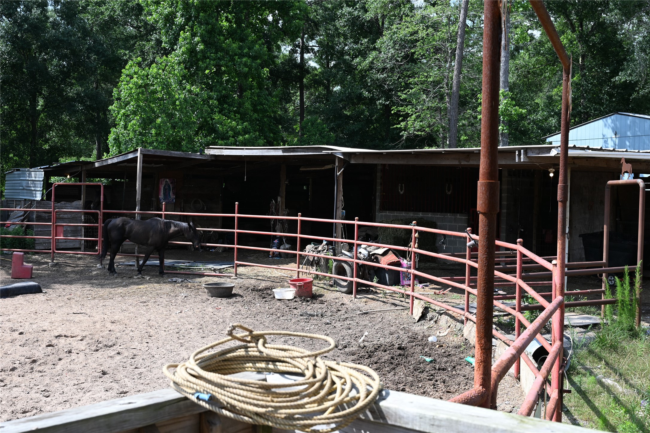 13819 Coaltown Road Willis, TX 77378 - Photo 16 of 20