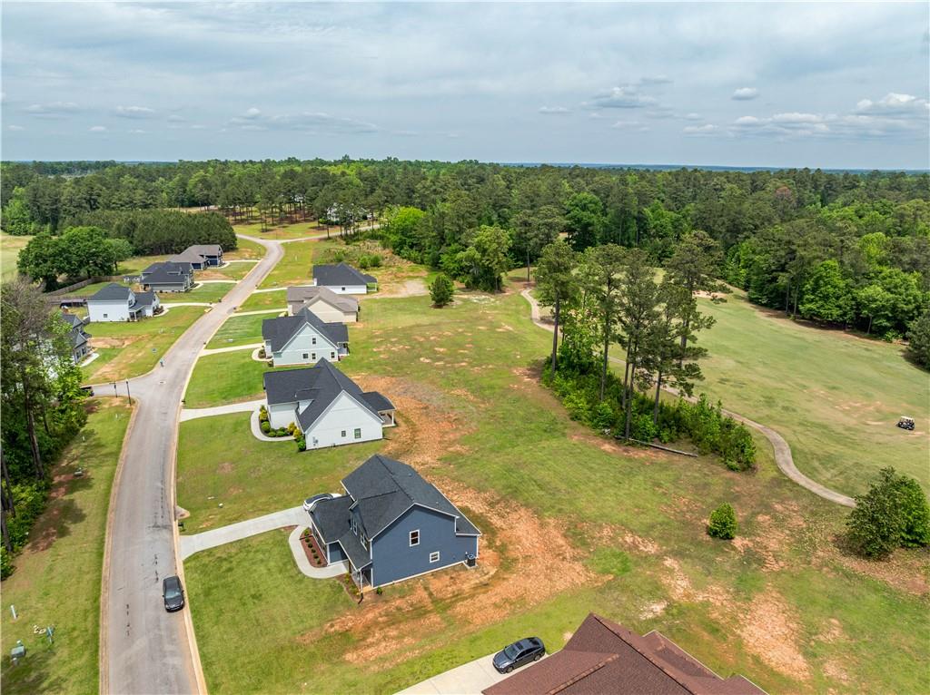 702 Riverside Estates Lanett, AL 36863 - Photo 35 of 37 All photos by licensed drone pilot
