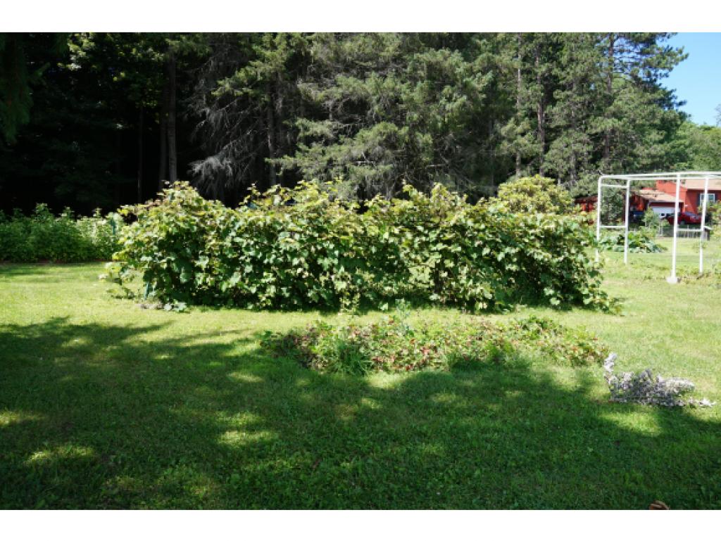 6 Gifford Road Hartford, VT 05001 - Photo 17 of 21 Gallery Image 17