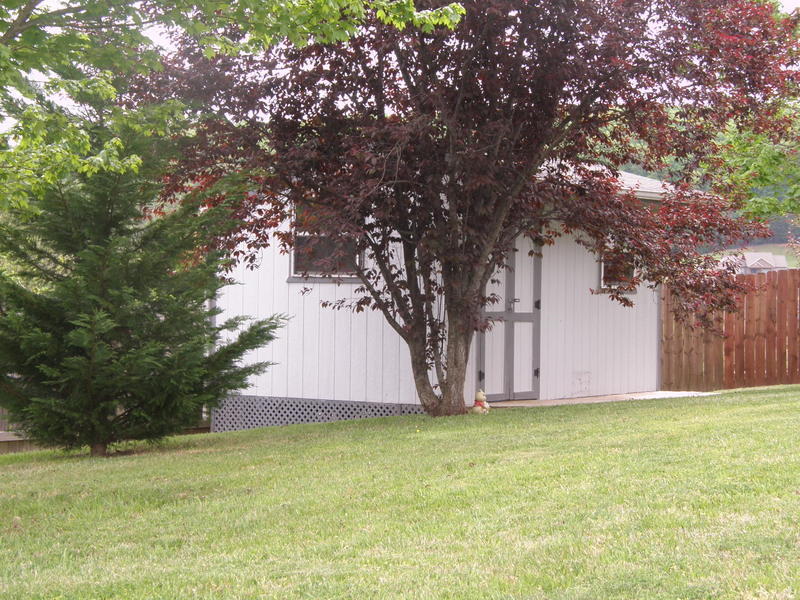 6625 Ruby June Lane Corryton, TN 37721 - Photo 24 of 31 P4240172