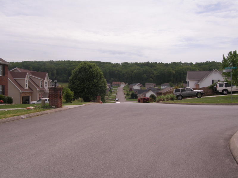 6625 Ruby June Lane Corryton, TN 37721 - Photo 31 of 31 P4240181