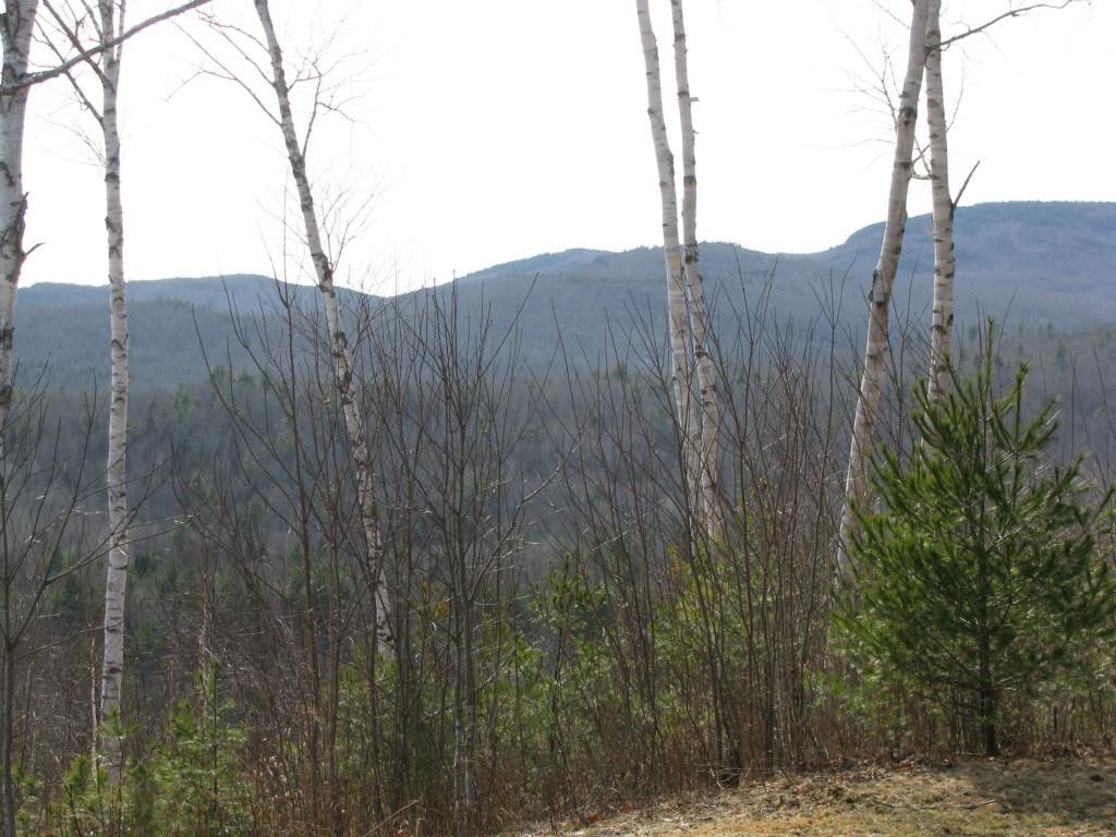 1289 West Side Road Weld, ME 04285 - Photo 10 of 12 Photo