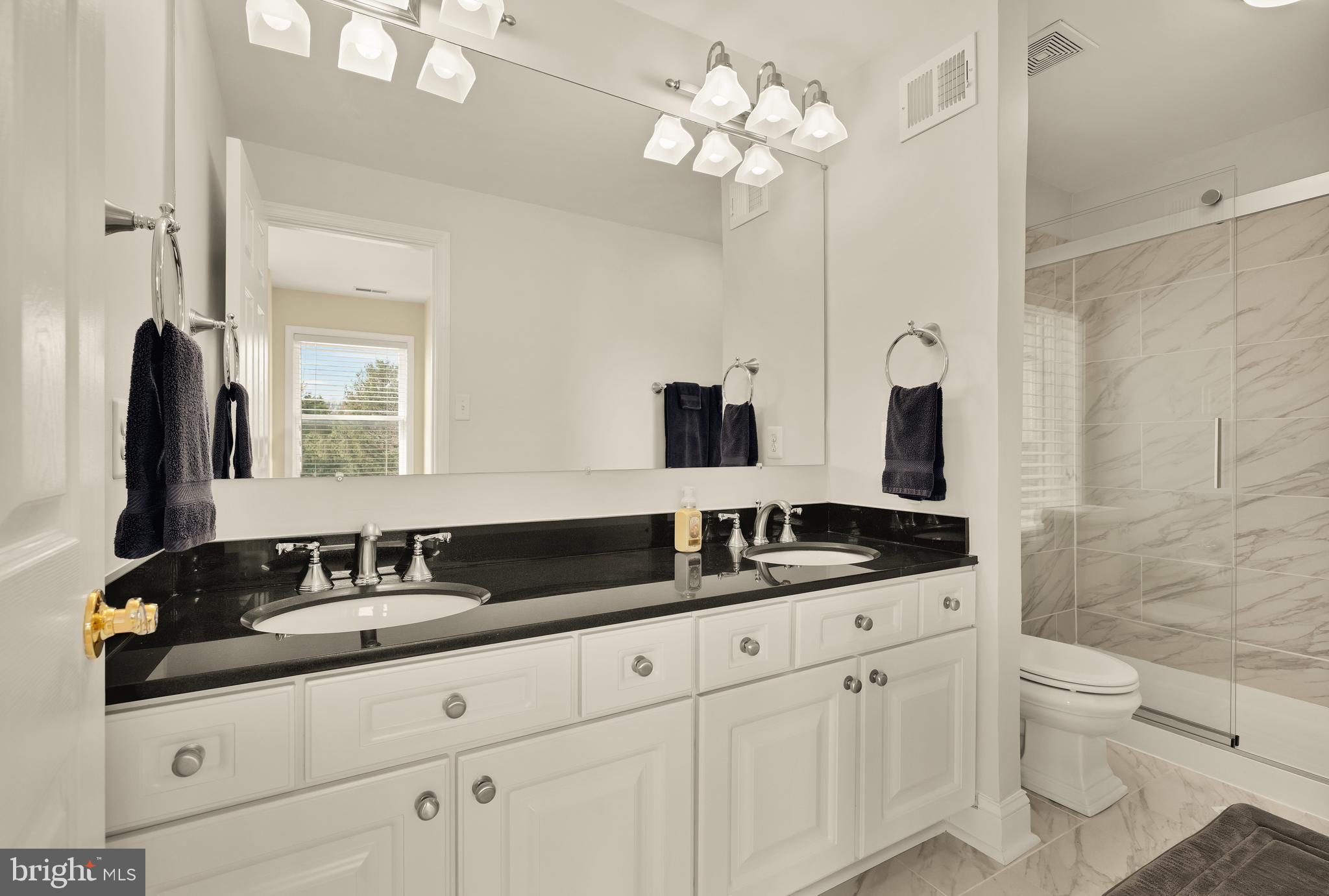 20407 Peach Tree Road Dickerson, MD 20842 - Photo 31 of 53 a bathroom with a granite countertop sink a toilet and mirror