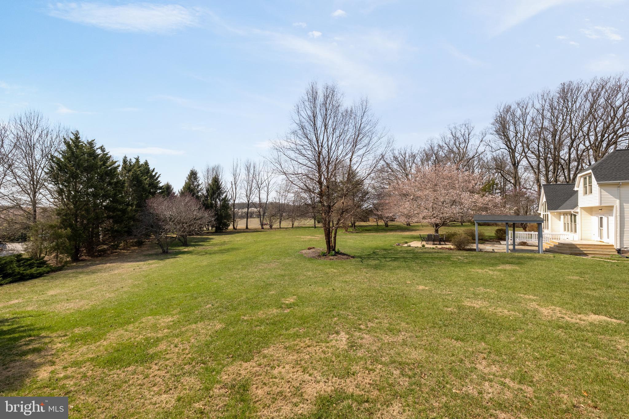 20407 Peach Tree Road Dickerson, MD 20842 - Photo 51 of 53 a view of yard with swimming pool and trees